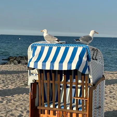 Toplage Direkt An Der Steilkueste - 6 