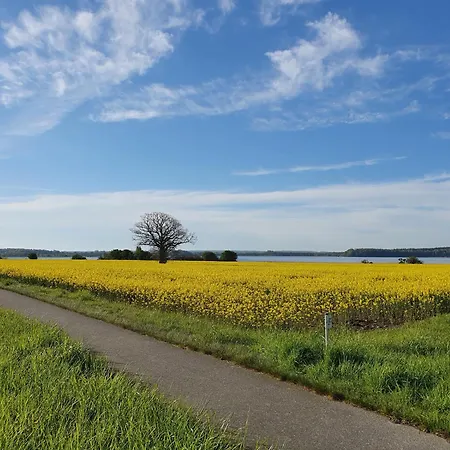 Toplage Direkt An Der Steilkueste - 6 